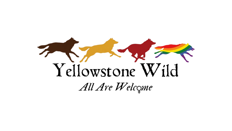 Four wolves in different colors and 'Yellowstone Wild: All Are Welcome' text.
