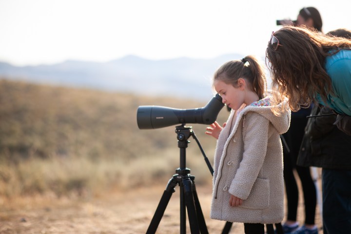 a person standing in front of a tripod