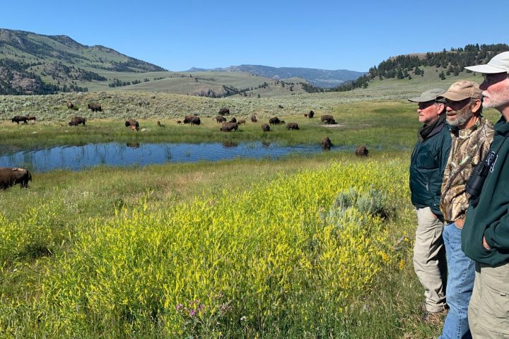 a man standing in a field with a mountain in the background