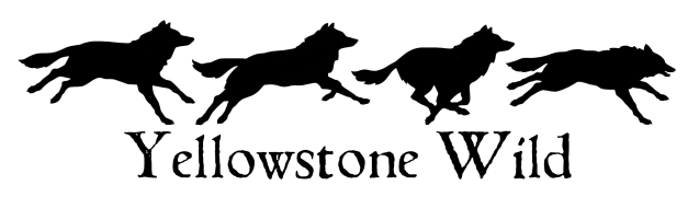 Yellowstone Wild logo