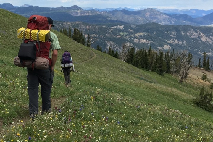 a person standing on a grassy hill