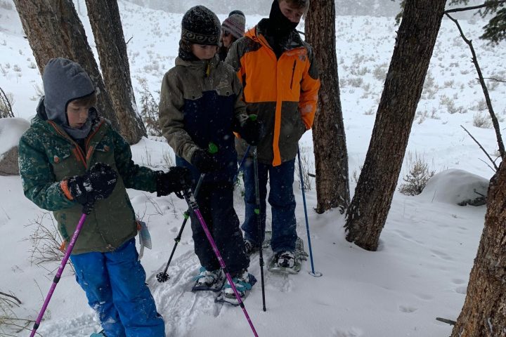 a group of people riding skis across snow covered ground