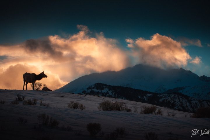 a group of clouds in the sky