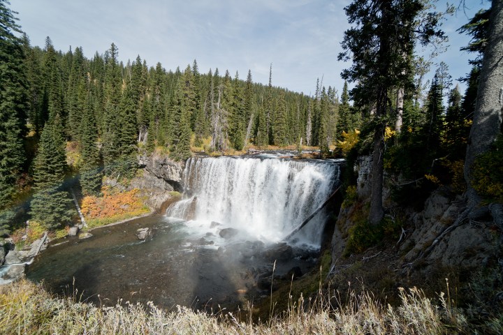 Sunwapta Falls in a forest