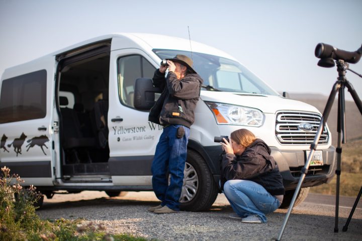 a person riding on the back of a truck