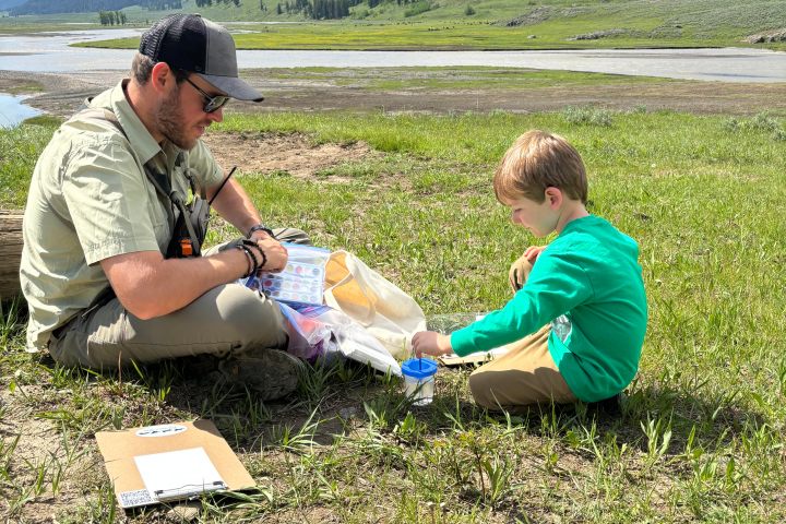 Painting with kids in Lamar Valley during a private Family Tour