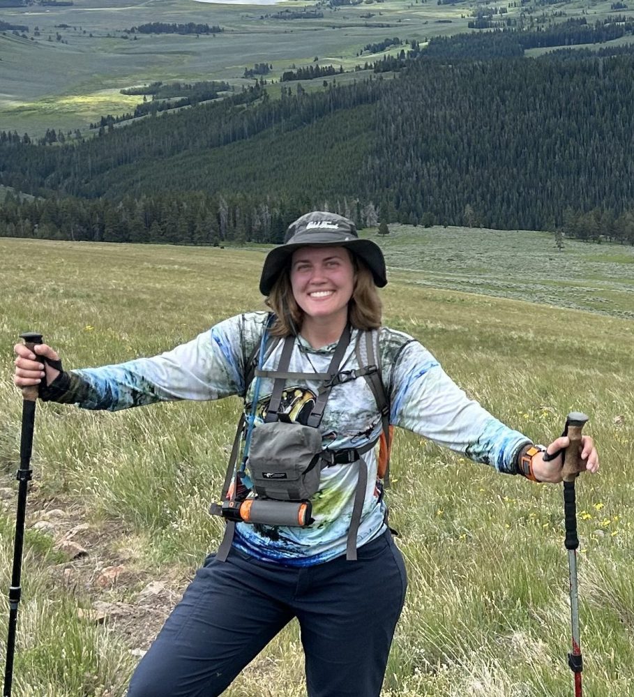 Person hiking on a grassy hill with trekking poles, cloudy sky and landscape in background.