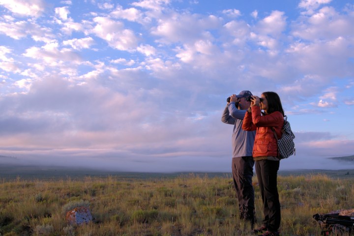 a person flying a kite in a field
