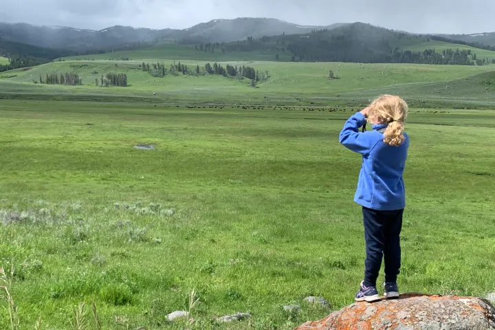 a little boy that is standing in the grass