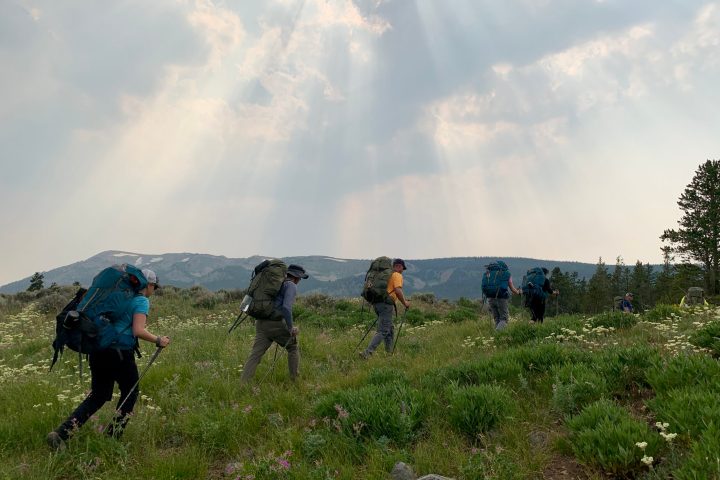 a group of people in a field