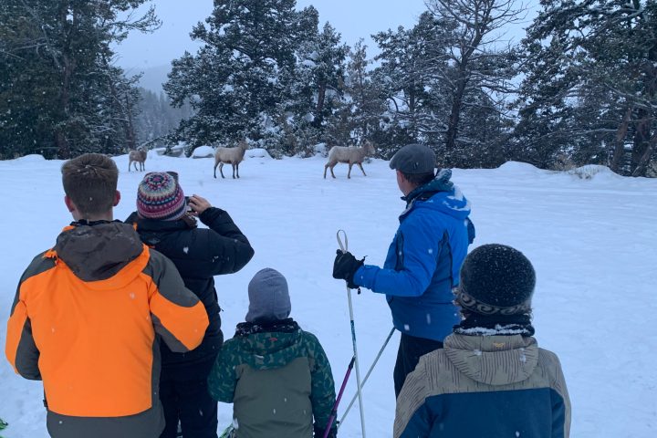 a group of people that are standing in the snow