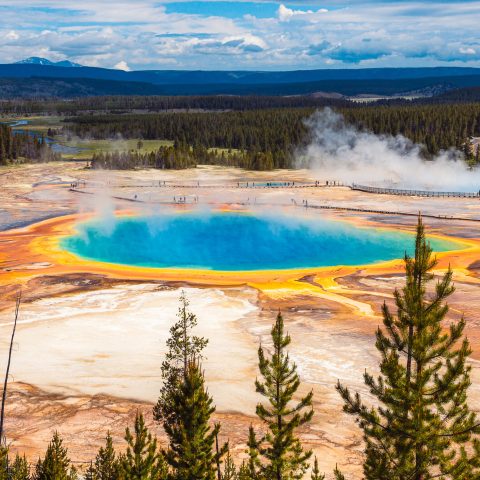 Grand Prismatic Hot Spring is vibrant and visible as air temperatures rise in spring and summer.