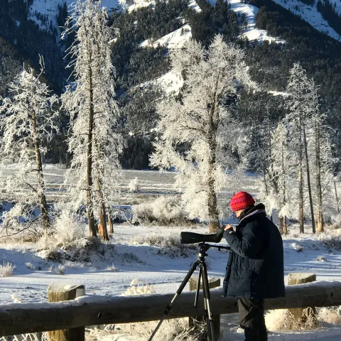 yellowstone in winter