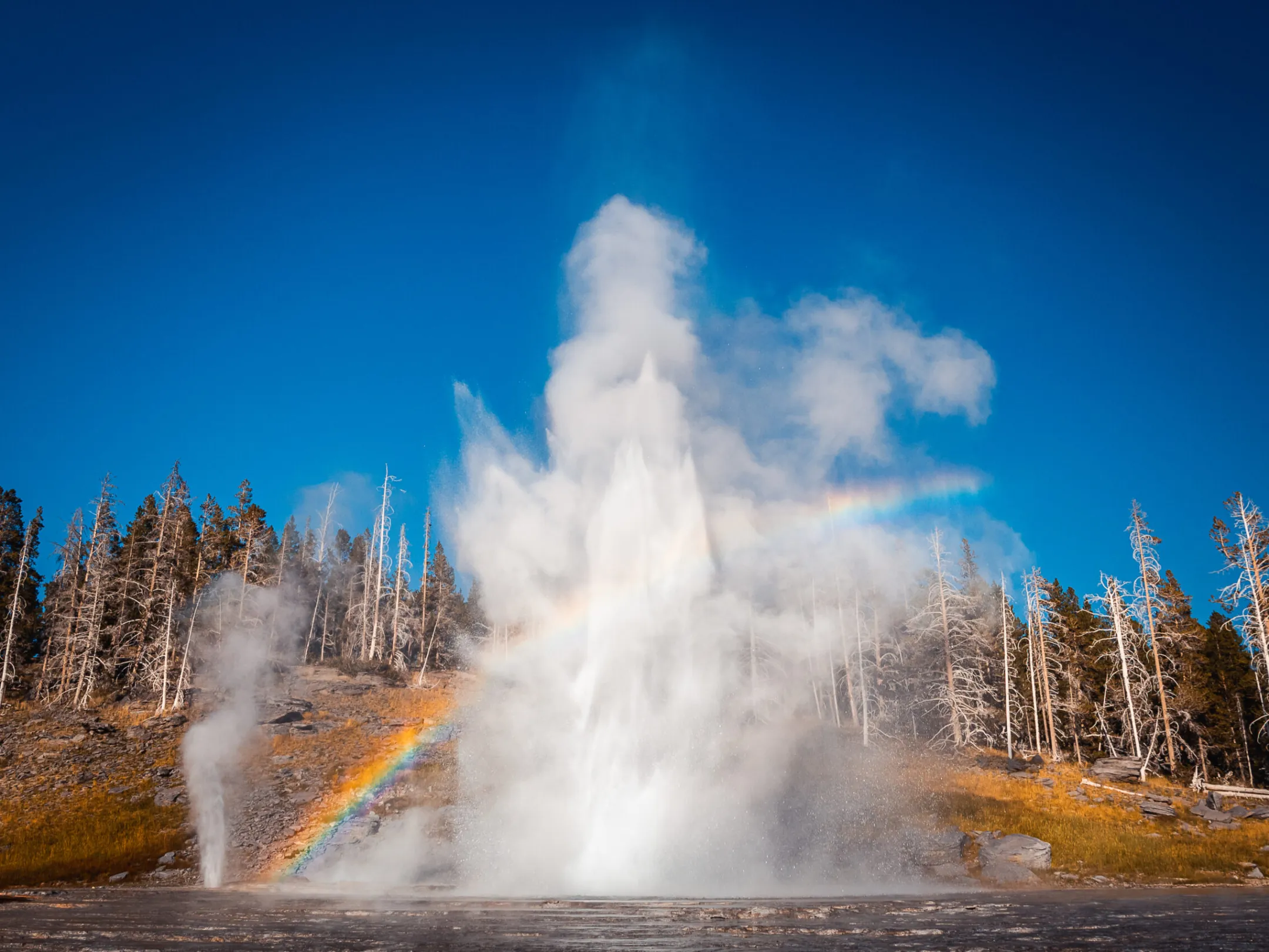 a rainbow in yellowstone national park