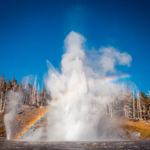 a rainbow in yellowstone national park
