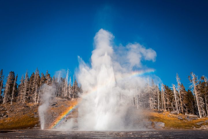 a rainbow in yellowstone national park