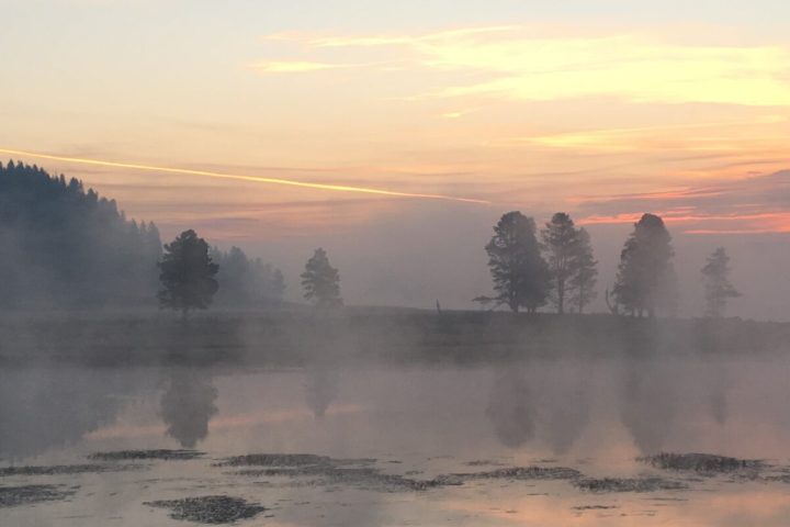 winter tours yellowstone