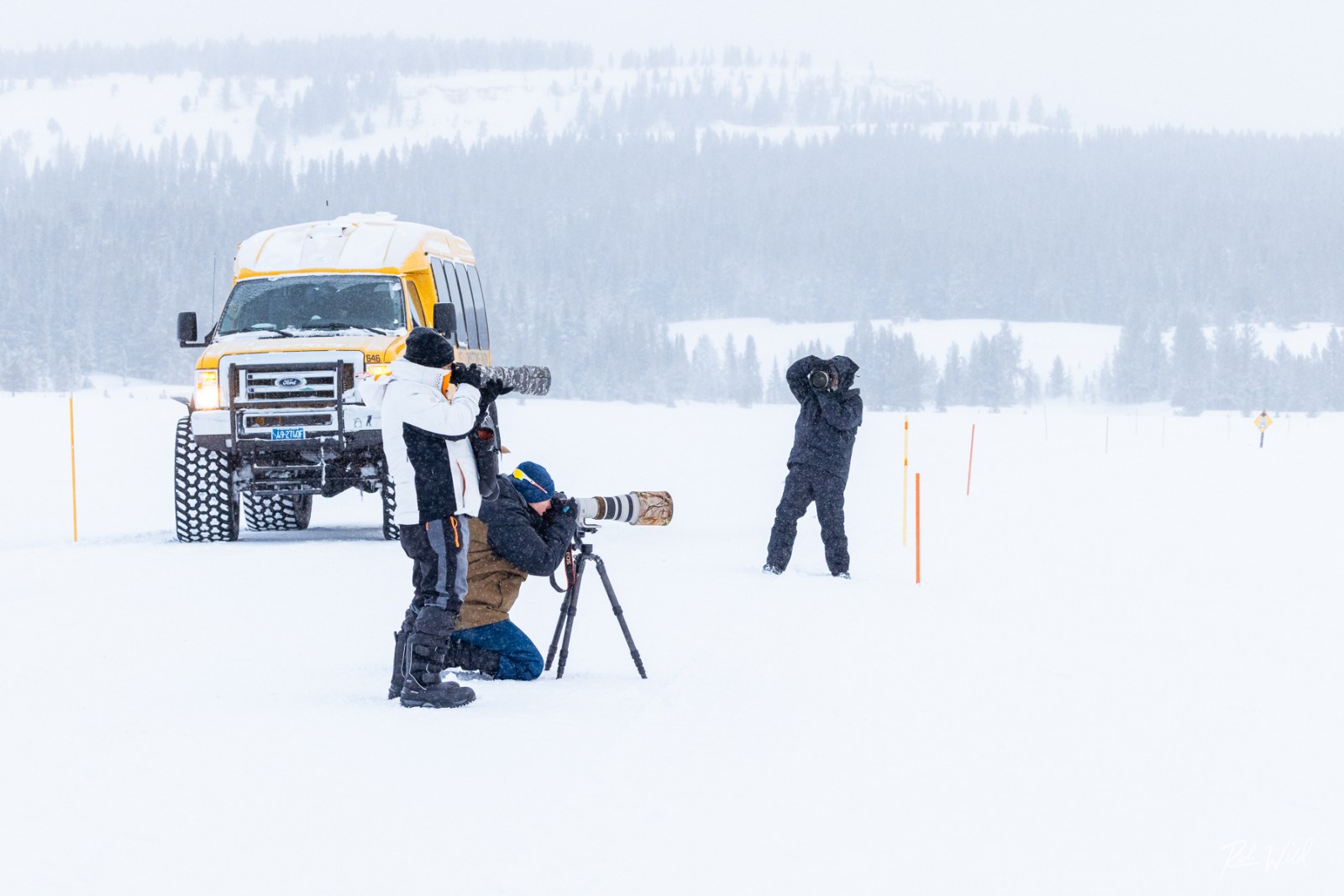 a couple of people that are skiing in the snow