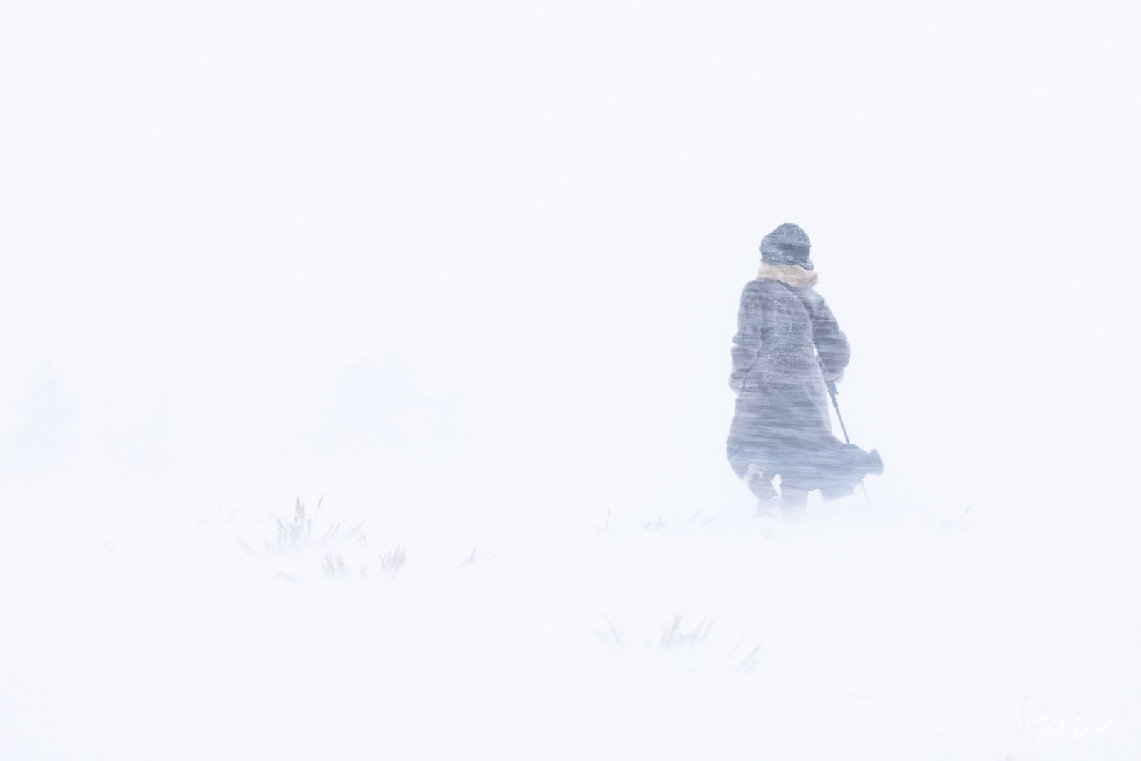 a fire hydrant covered in snow