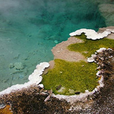 Colorful hot springs in Yellowstone National Park.