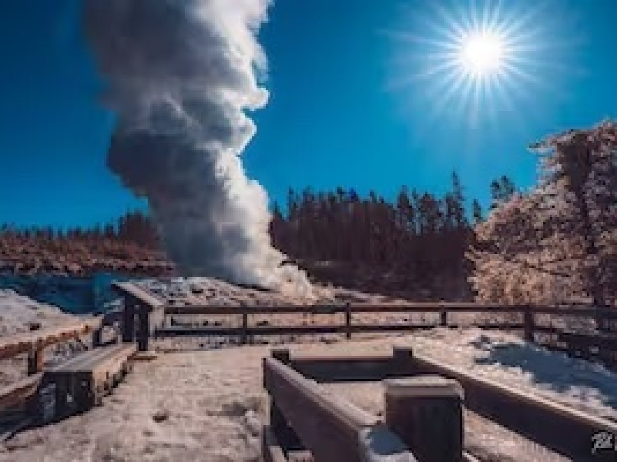 Steamy geysers and hot springs are on full display on Yellowstone Wild Tour outings during winter.