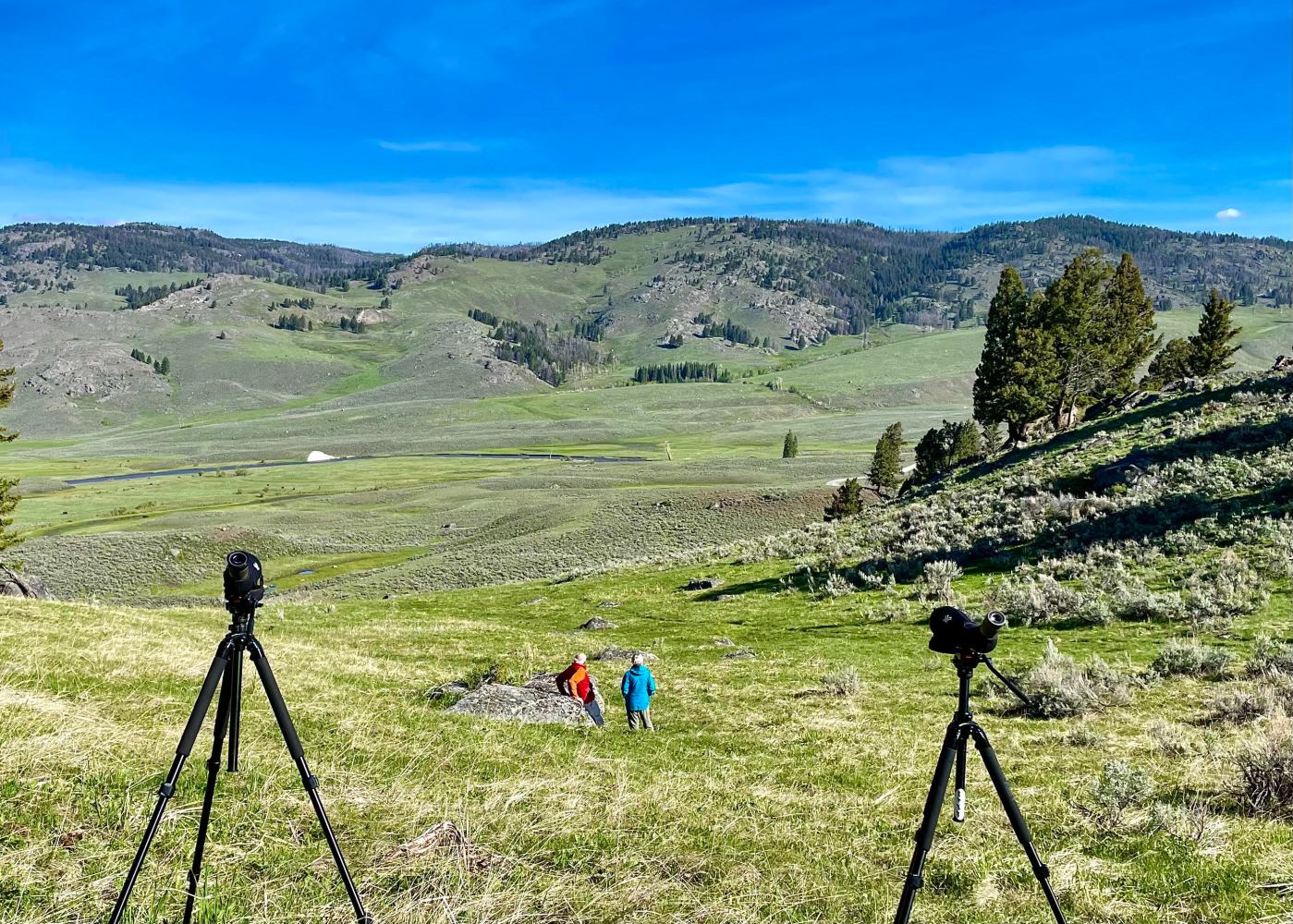 a tripod on top of a lush green field