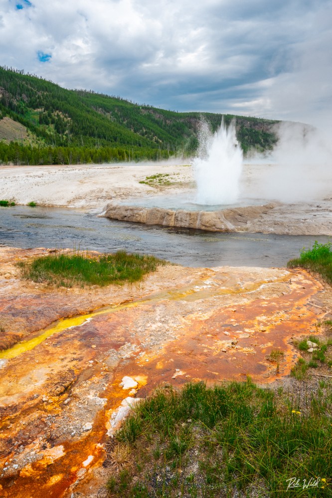 Cliff Geyser at Black Sand Basin in Yellowstone's Upper Geyser Basin in eruption
