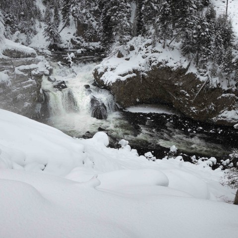 It had been a slower day than the past few, but still incredible… it’s hard to have a bad day in the interior! Photo by Evan Watts