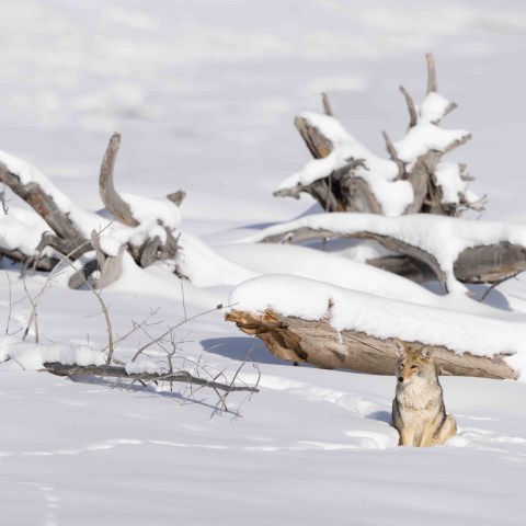 A few interesting landscape scenes, using the harsh shadows the sun was creating to our advantage to make for more compelling images. Photo by Evan Watts