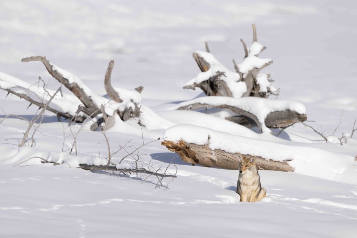 A few interesting landscape scenes, using the harsh shadows the sun was creating to our advantage to make for more compelling images. Photo by Evan Watts