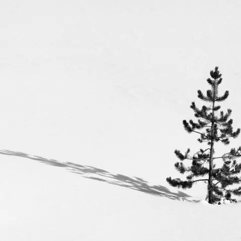 A few interesting landscape scenes, using the harsh shadows the sun was creating to our advantage to make for more compelling images. Photo by Evan Watts