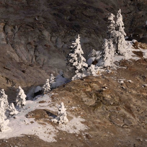 We ended our final day at Roaring Mountain, where with the last light of day, we made some landscape images. Photo by Evan Watts