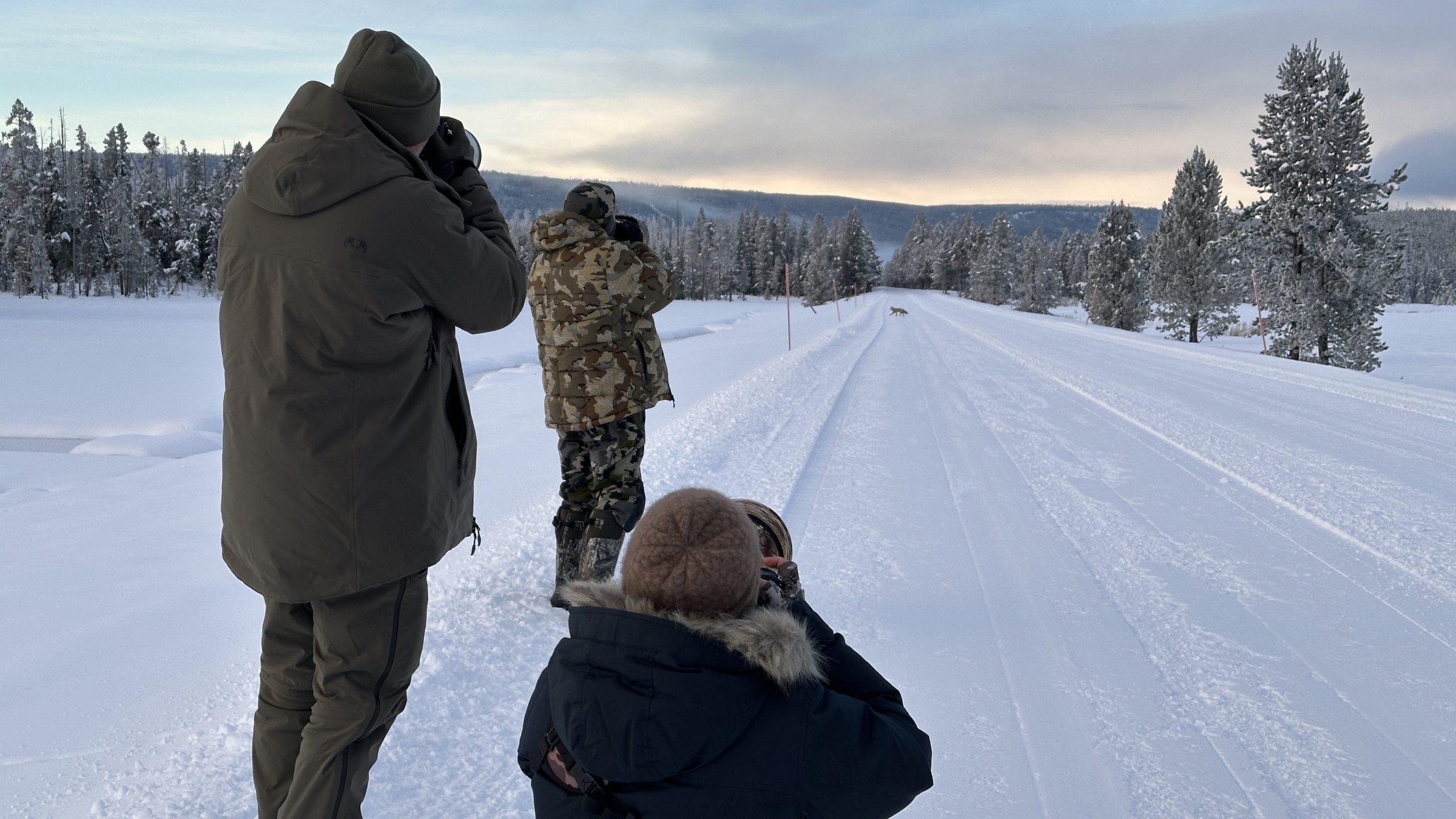 We began our day with a red fox eating a long-tailed weasel. My clients got some nice photos from this scene. Photo by Evan Watts