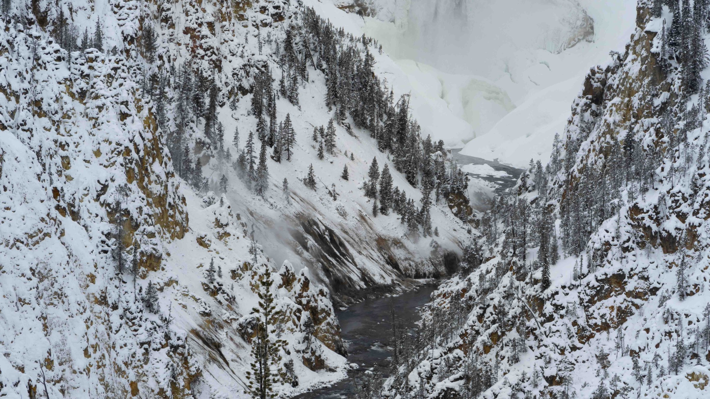 One of Yellowstone’s most iconic viewpoints: Artist Point (the Lower Falls of the Yellowstone River). Photo by Evan Watts