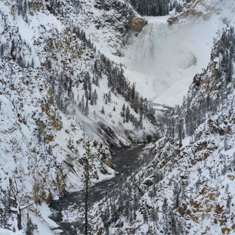 One of Yellowstone’s most iconic viewpoints: Artist Point (the Lower Falls of the Yellowstone River). Photo by Evan Watts