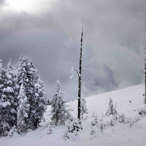 Landscape shot at thermal basin (Mud Volcano). Photo by Evan Watts
