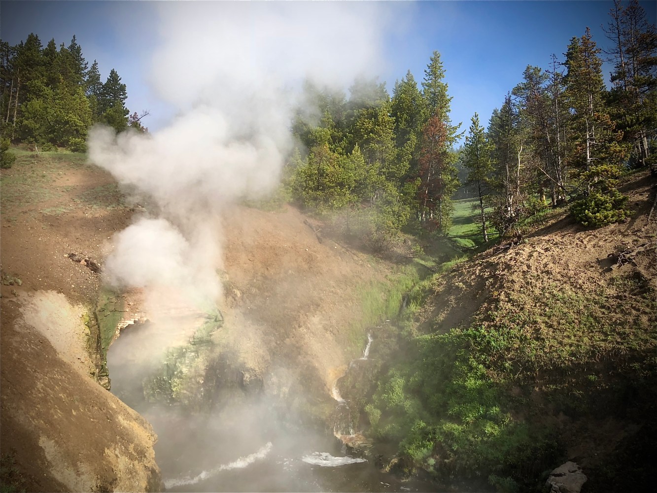 Dragon's Mouth Spring at Mud Volcano in Yellowstone National Park