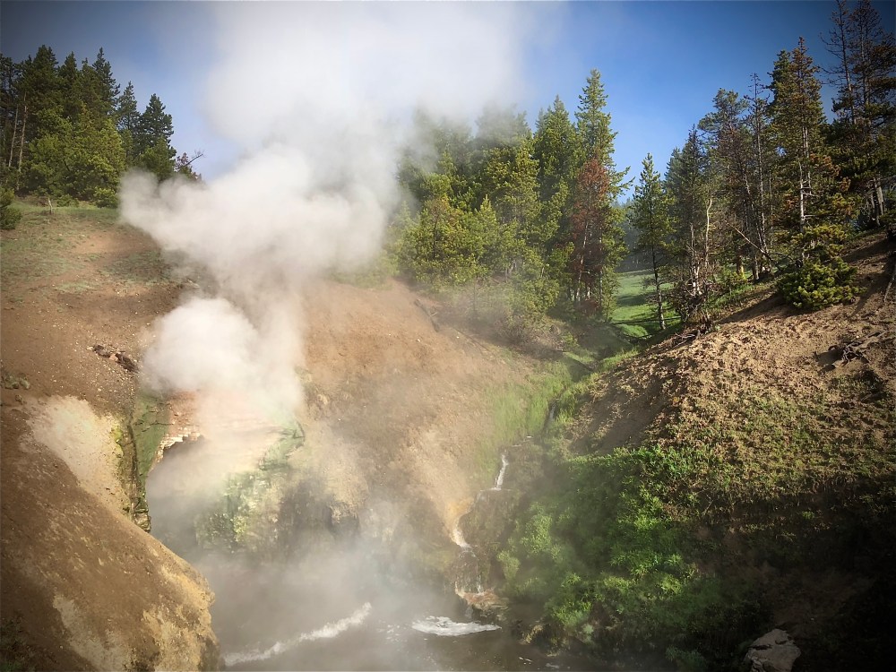 Dragon's Mouth Spring at Mud Volcano in Yellowstone National Park