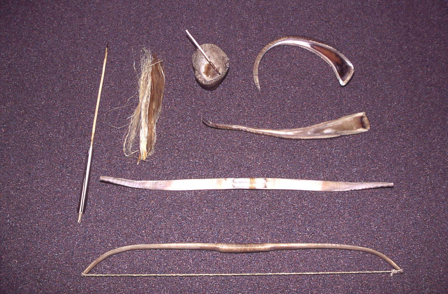 Sheepeater bow making materials acquired from big horn sheep ram horns. The horns were made pliable by soaking them in area hot springs. Photo courtesy of Jim Peaco, NPS photo library.