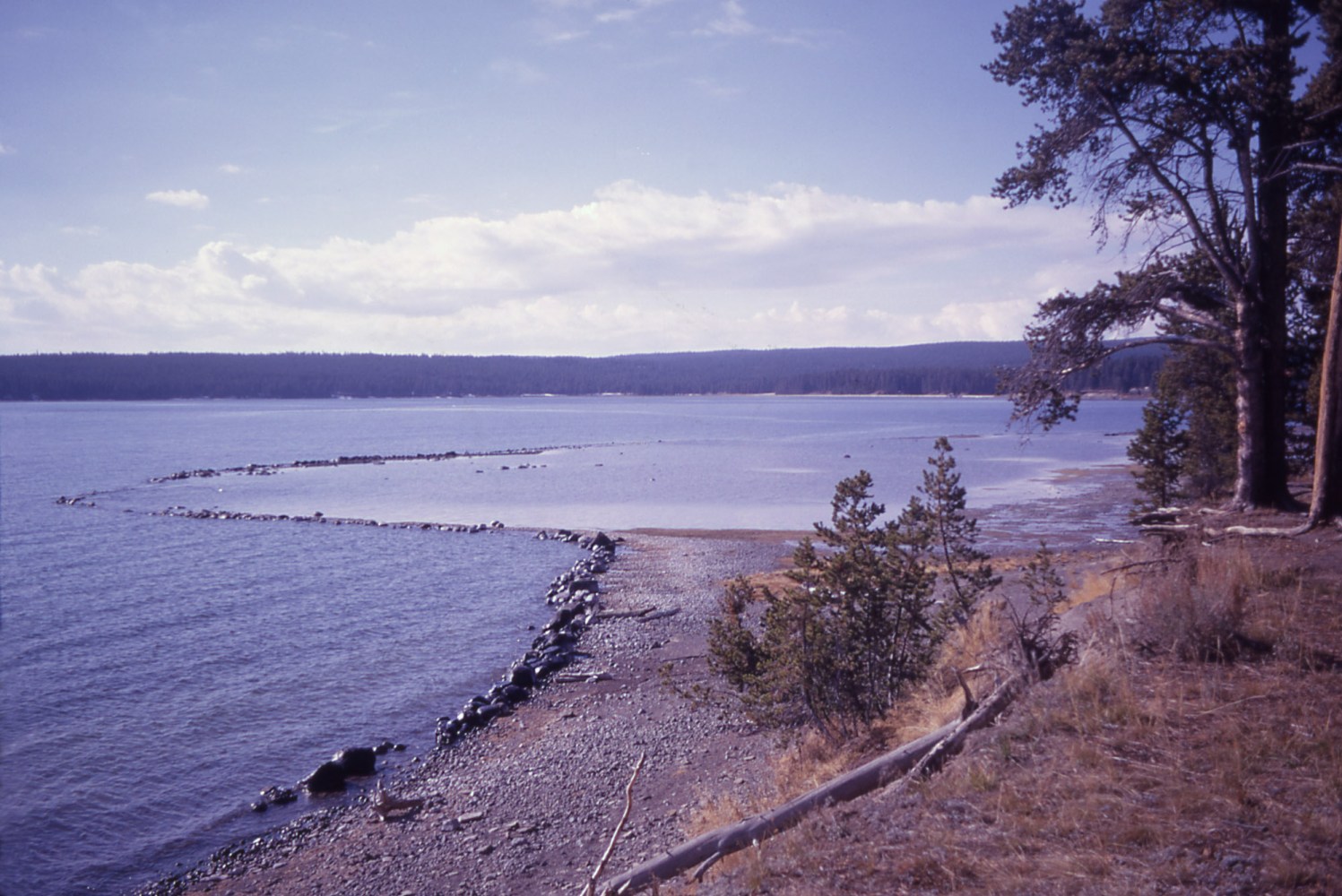 Indian fish trap on yellowstone lake