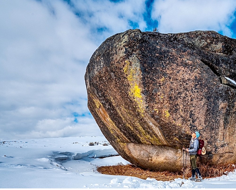 Enormous glacial erratic in Yellowstone's Northern Range