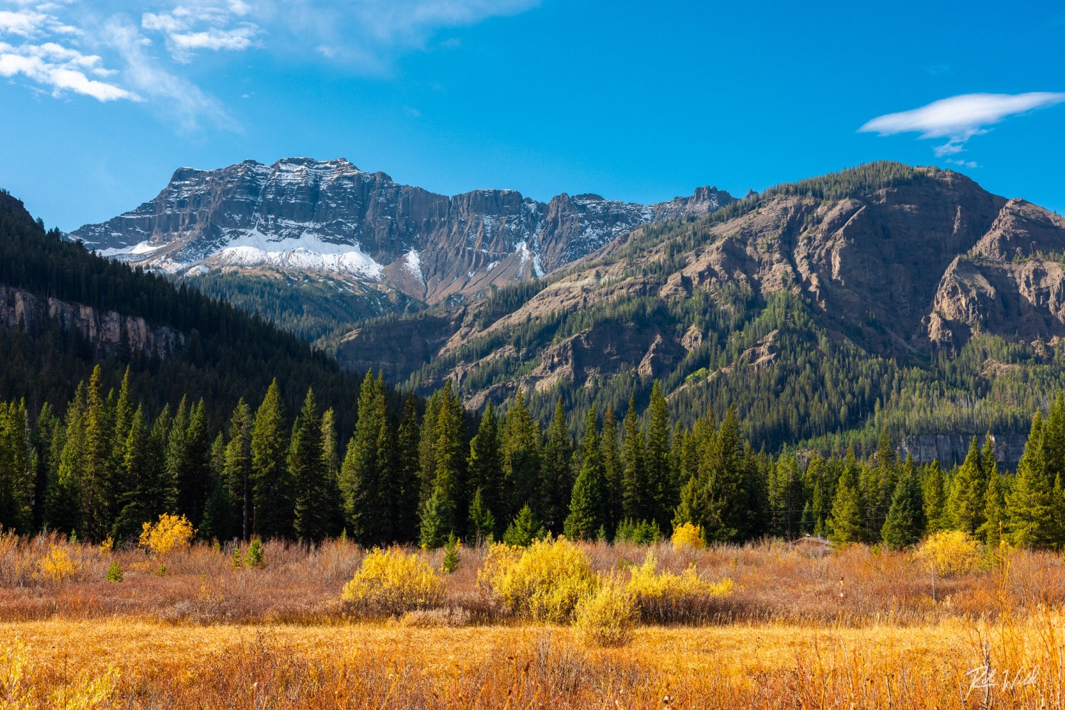Snow-capped mountains, evergreen trees, and autumn foliage under a blue sky with clouds.