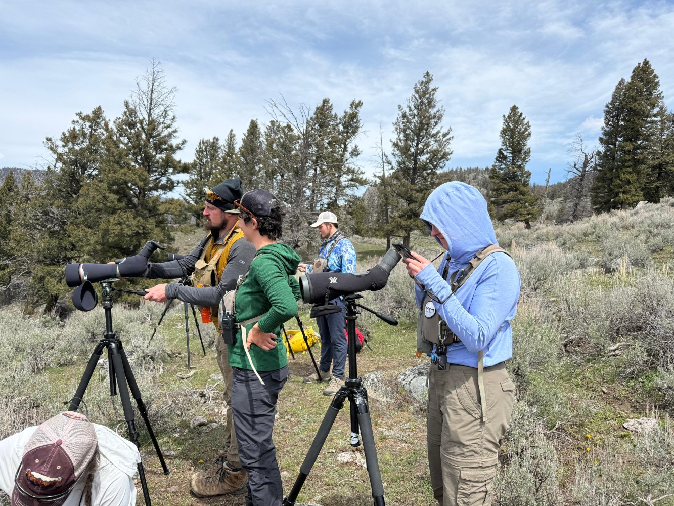 YW Naturalists practice the art of digiscoping to capture footage of wildlife for guests. 