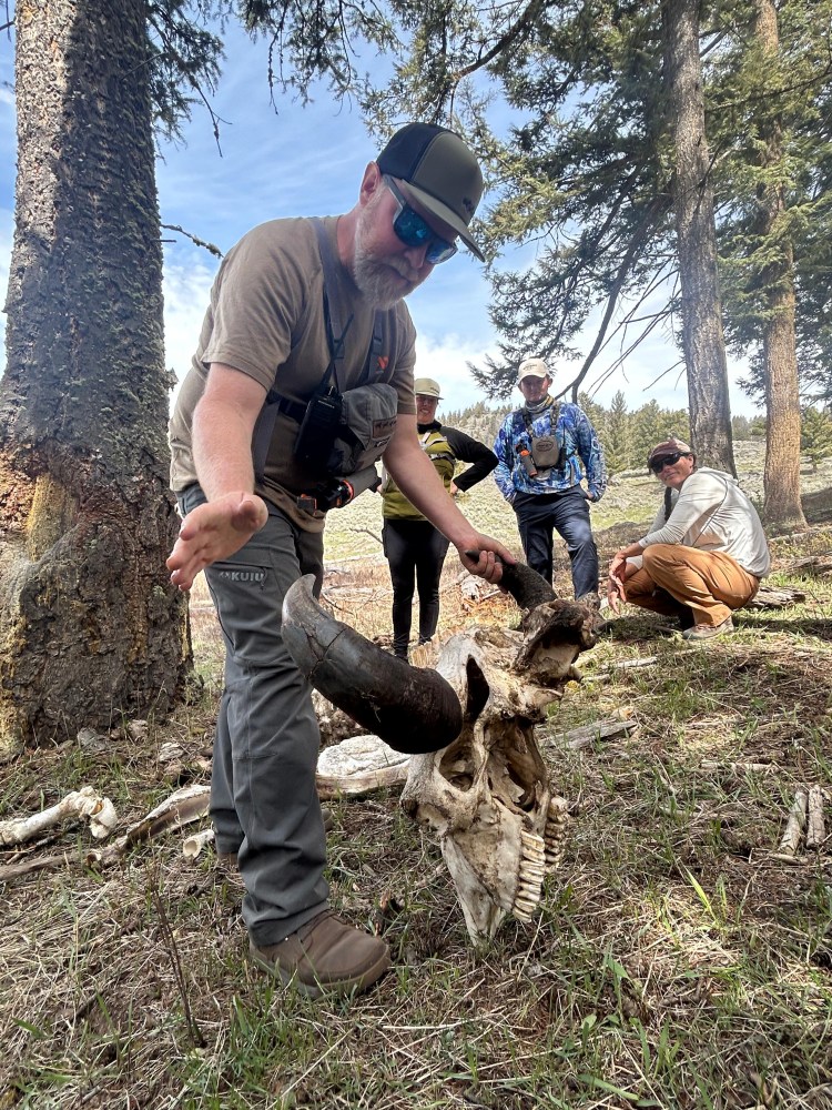 Founder Emil McCain demonstrates teaching techniques using hands on opportunities.