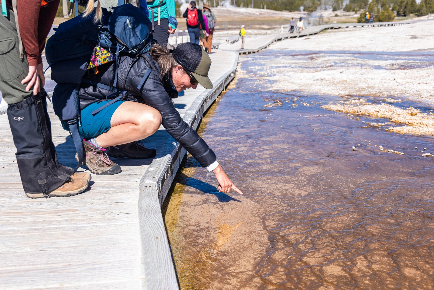 School groups co-ordinator and educator Melissa D. points out ephydrid flies thriving Yellowstone's thermal runoff channels.