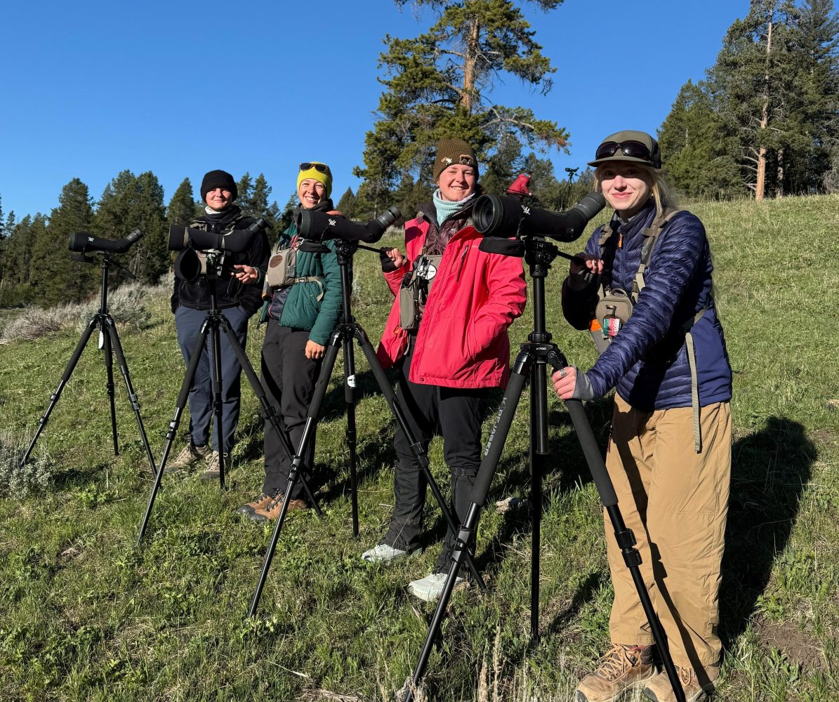New Yellowstone Wild naturalist guides learning the secret spots! From L to R: Matthew W., Mads B., Jordan W., and Jesse G.