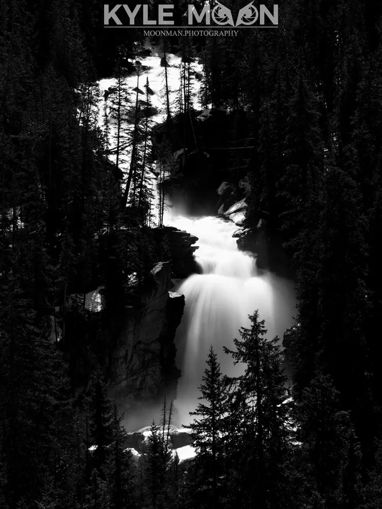Black and white photo of a waterfall surrounded by dense forest.