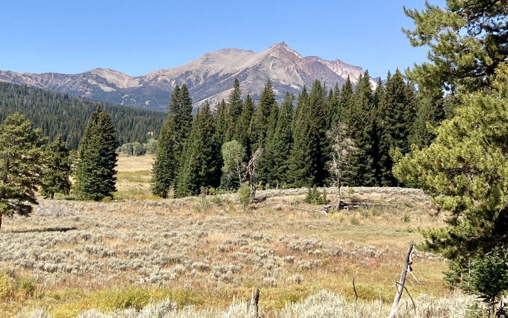 Mountain landscape with sparse trees and clear blue sky.
