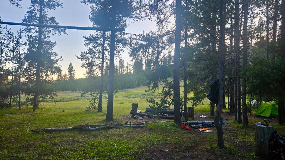 Forest campsite with tents and morning light filtering through trees.