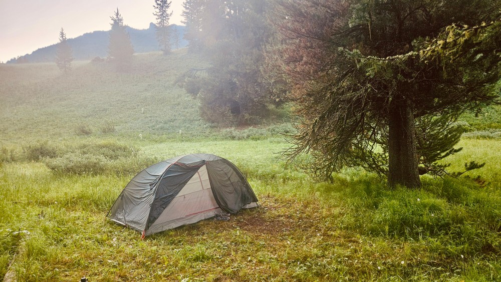 Tent set up on grassy field near a large tree, with mist and hills in the background.